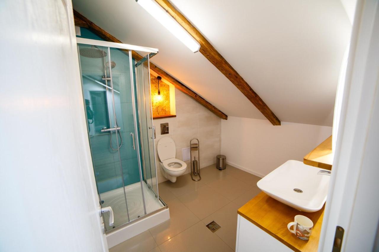 Alpine Loft Apartment Campulung Moldovenesc Exterior photo
