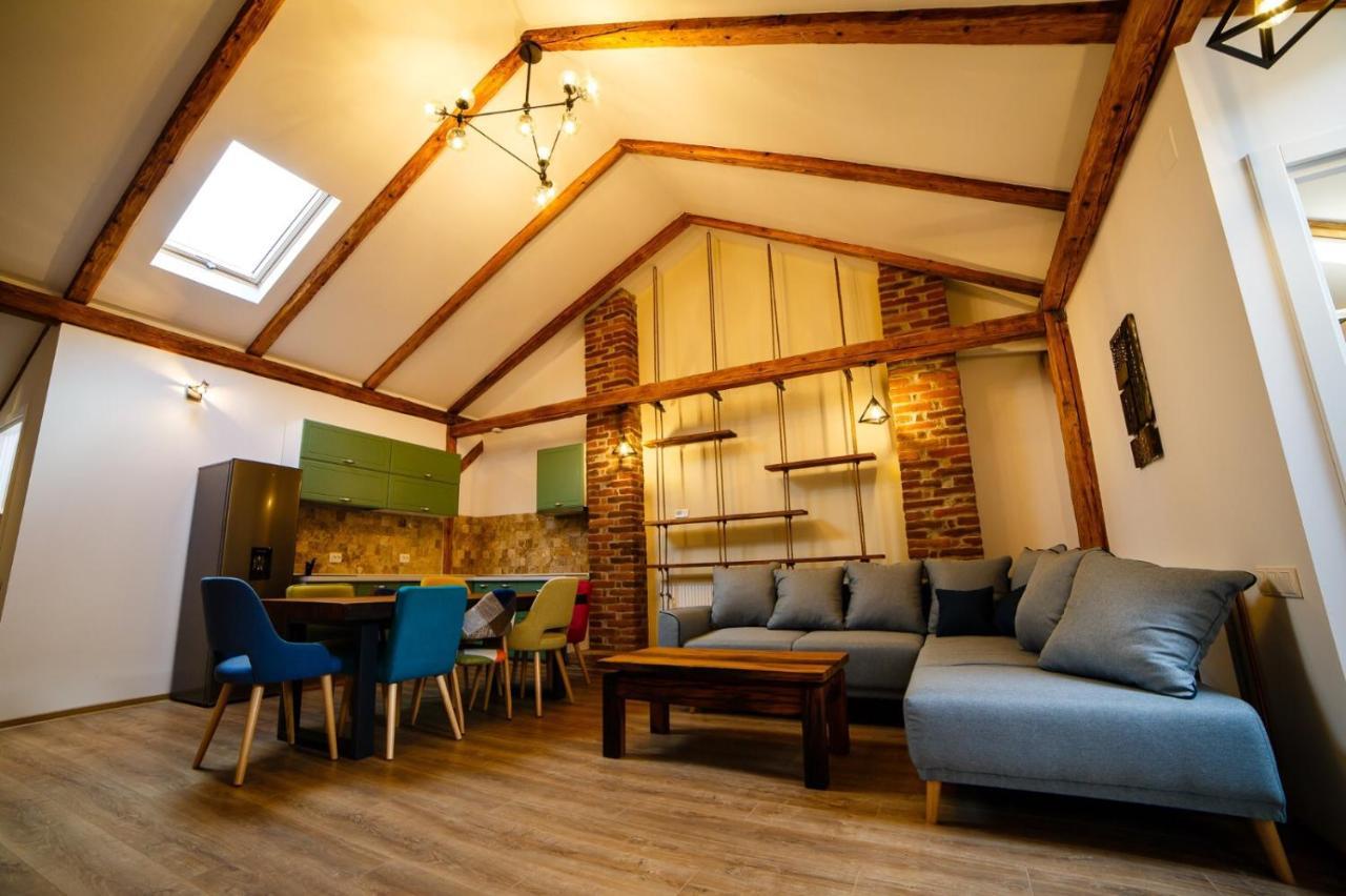 Alpine Loft Apartment Campulung Moldovenesc Exterior photo